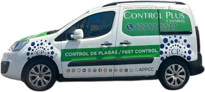 Control Plus Canarias van