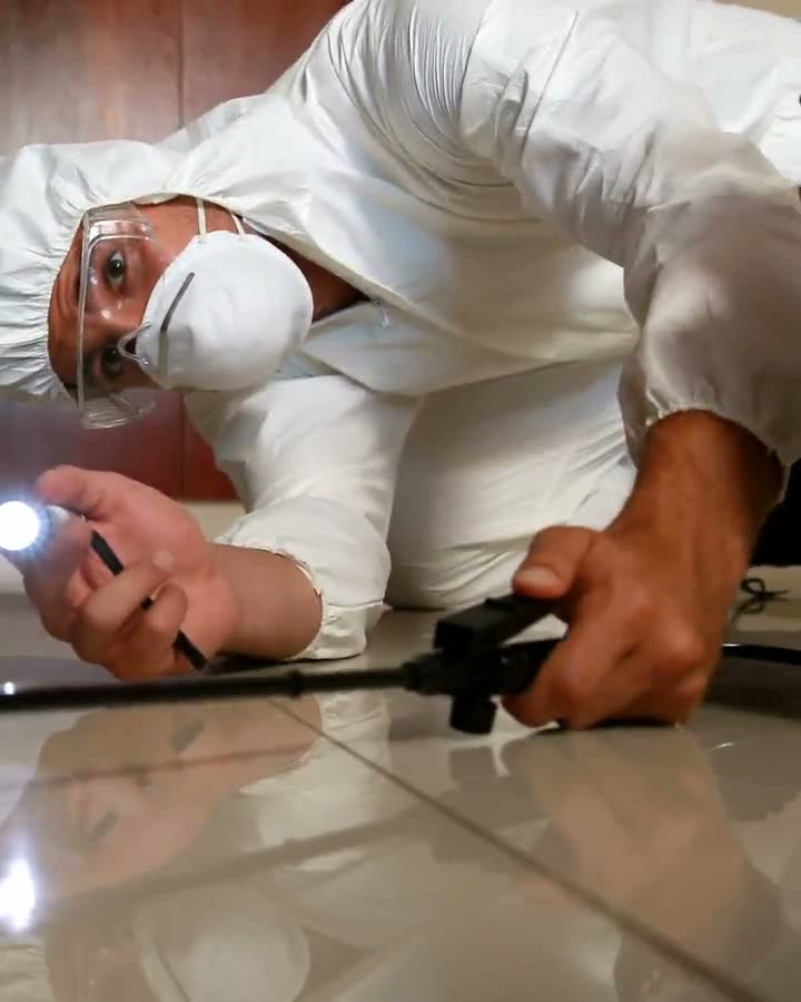 Pest control technicians at work